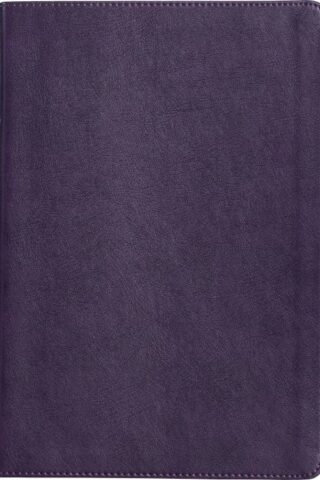 9781087782799 Large Print Thinline Bible