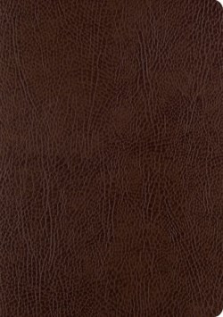 9781433555381 Single Column Journaling Bible Large Print