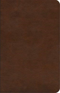 9781433577932 Concise Study Bible