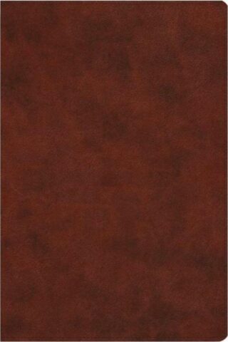 9781433595707 Everyday Gospel Bible Connecting Scripture To All Of Life