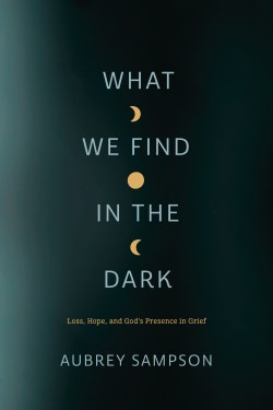 9781641583121 What We Find In The Dark