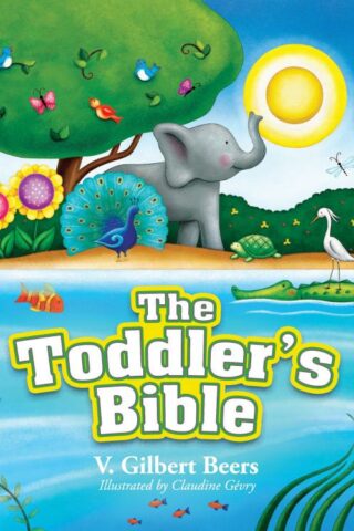 9780781405799 Toddlers Bible